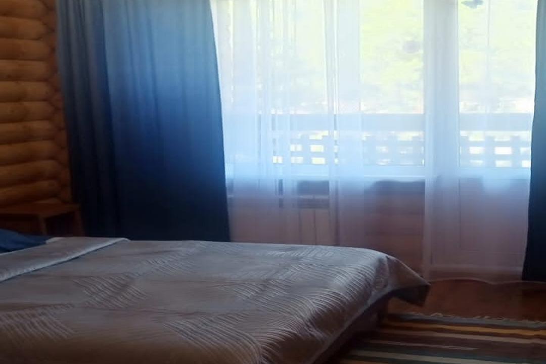 Фото Индиго