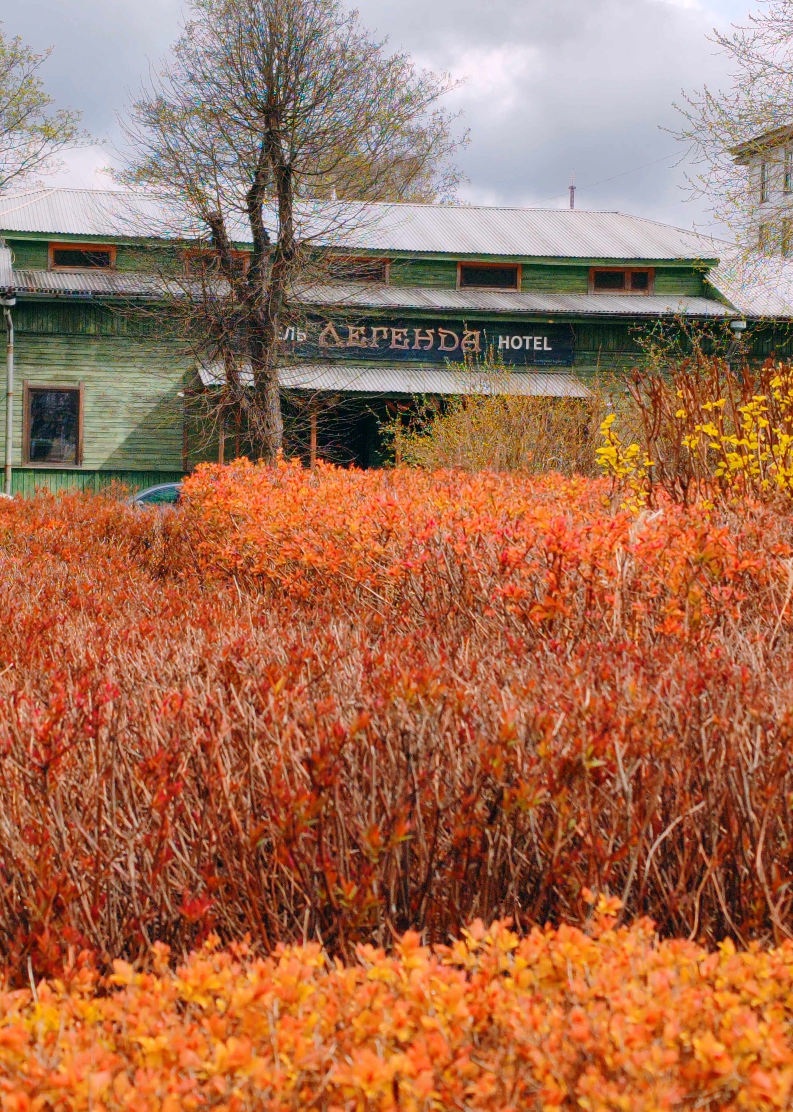 Фото Легенда
