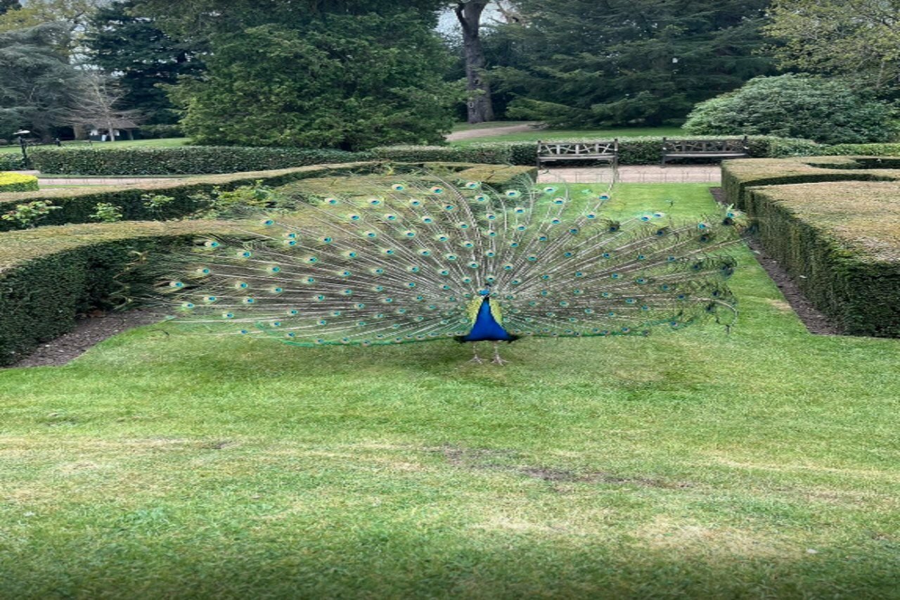 Фото Warwick Castle Knight's Village