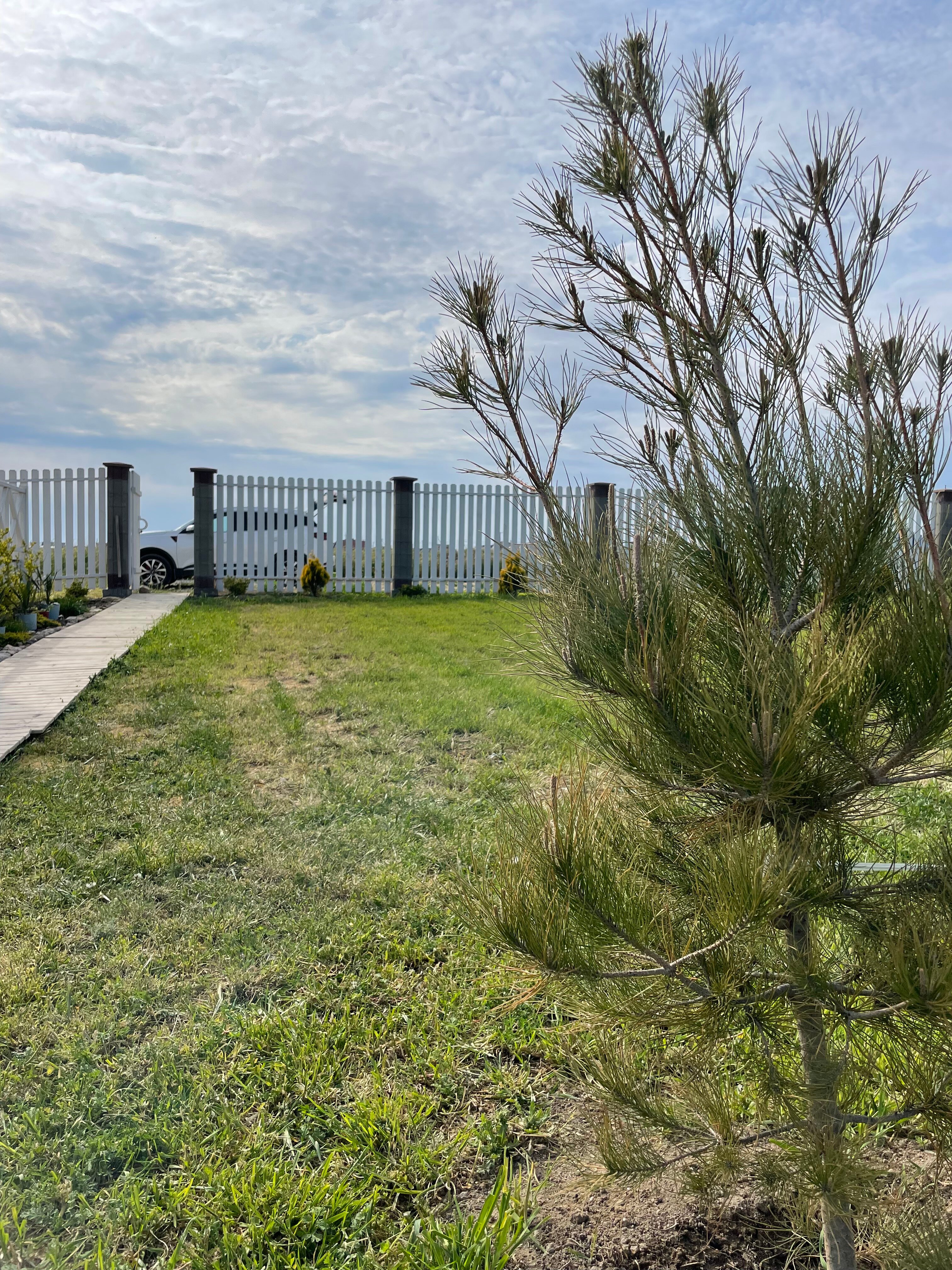 Фото Ле-Ман