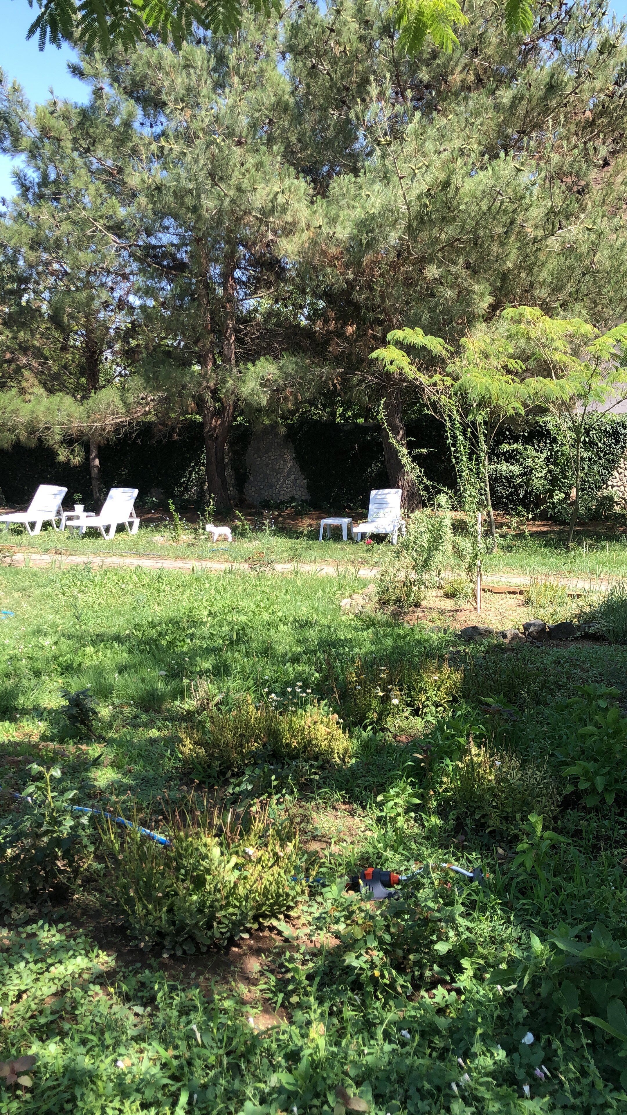 Фото Вилла Корфу