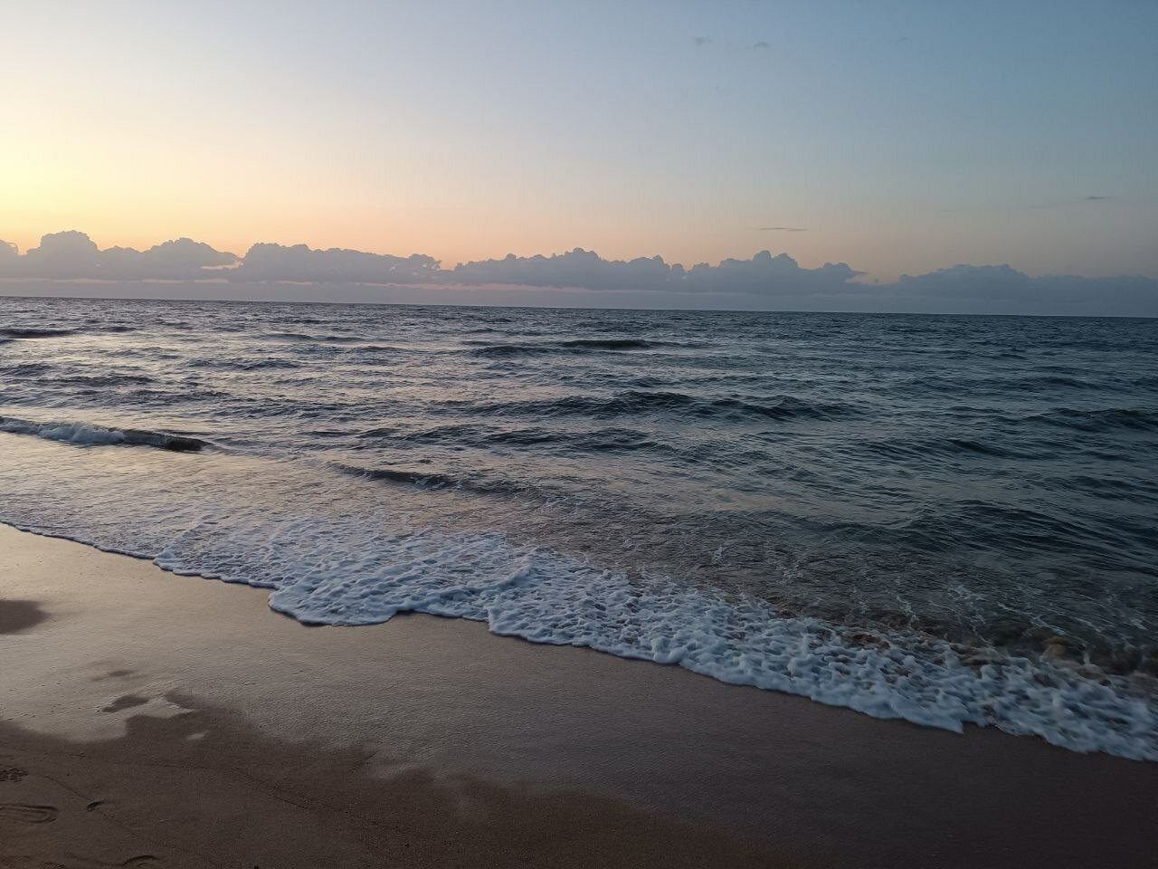 Фото Форест