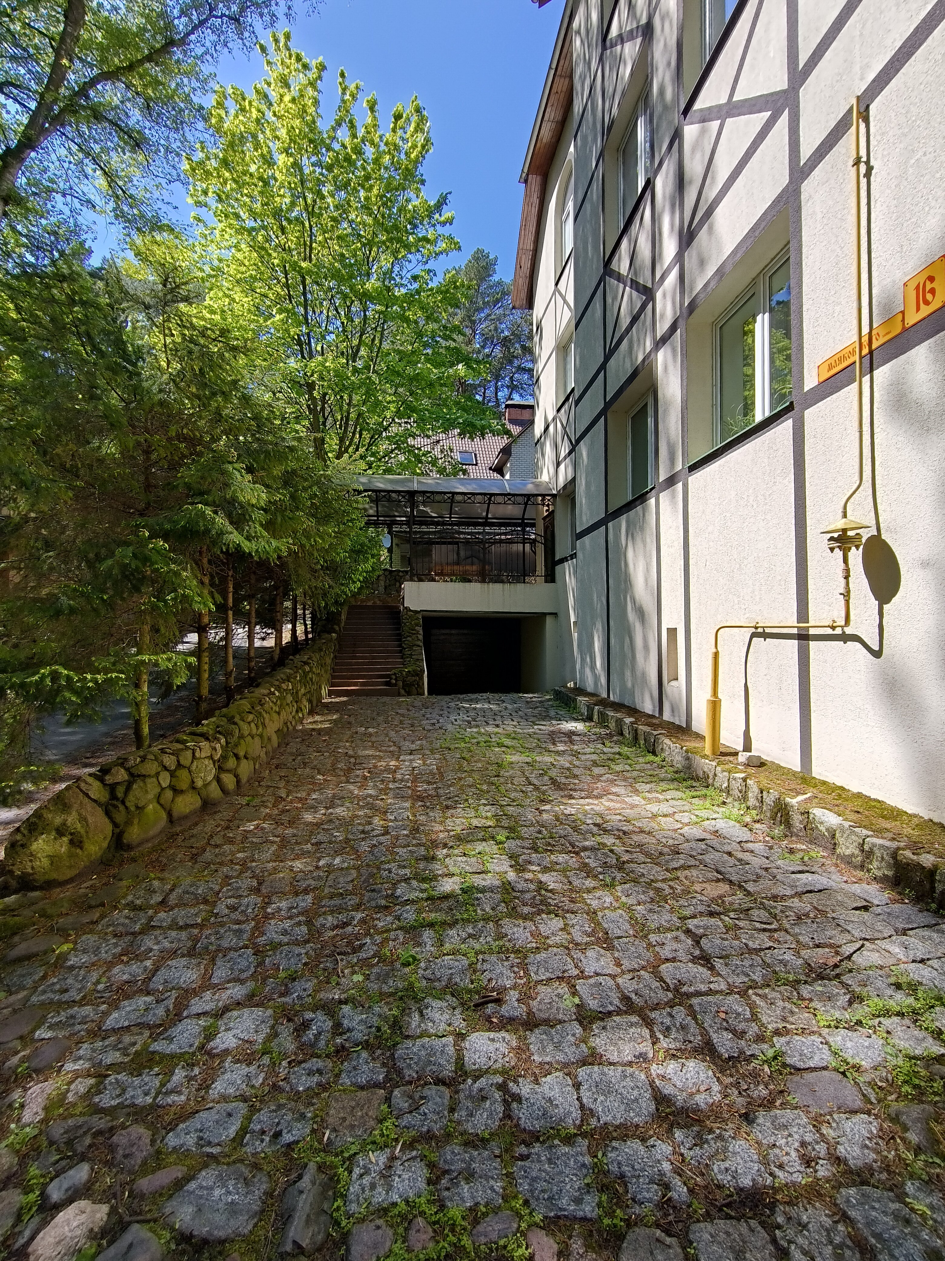 Фото Дом Дракона