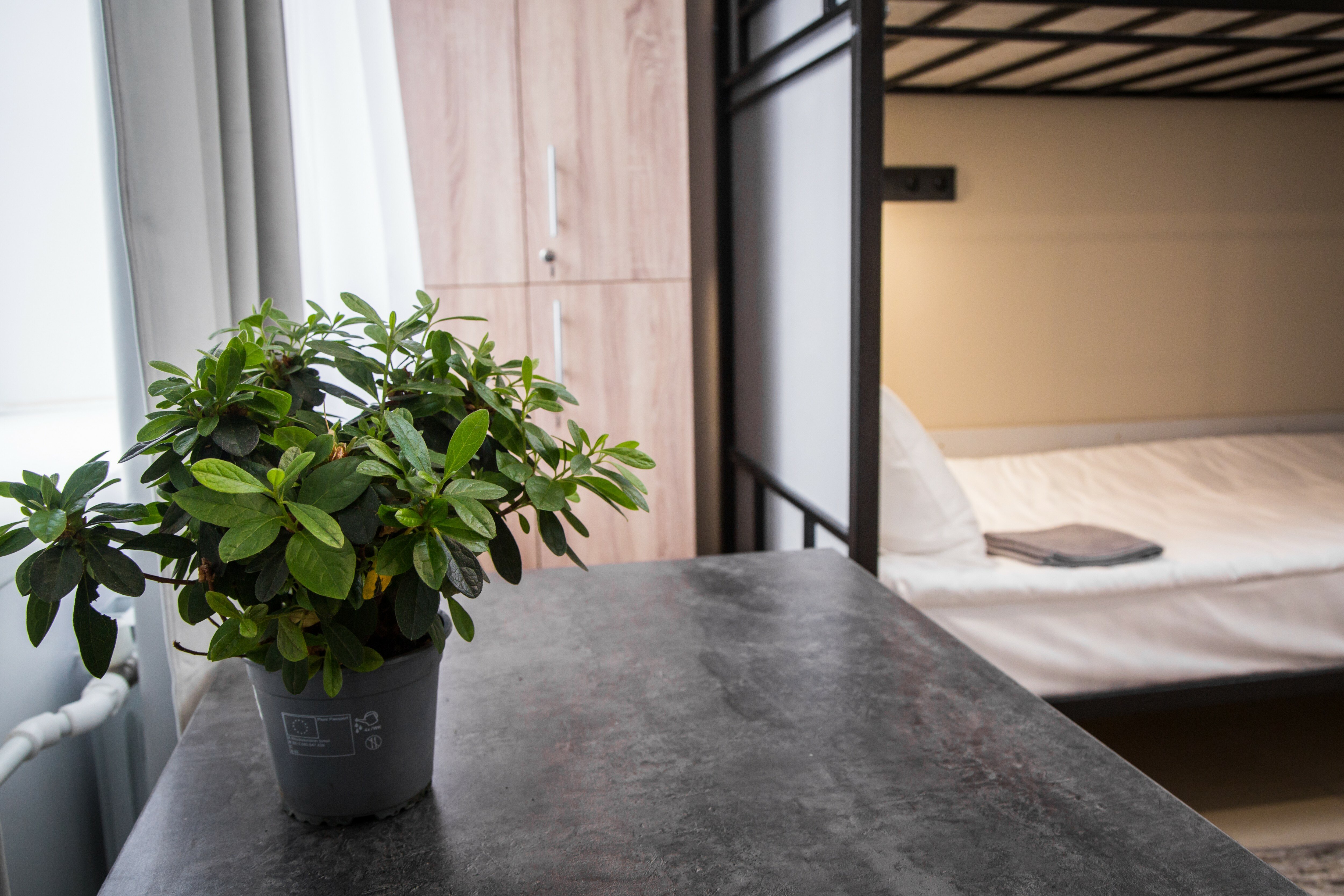 Фото Морозовский