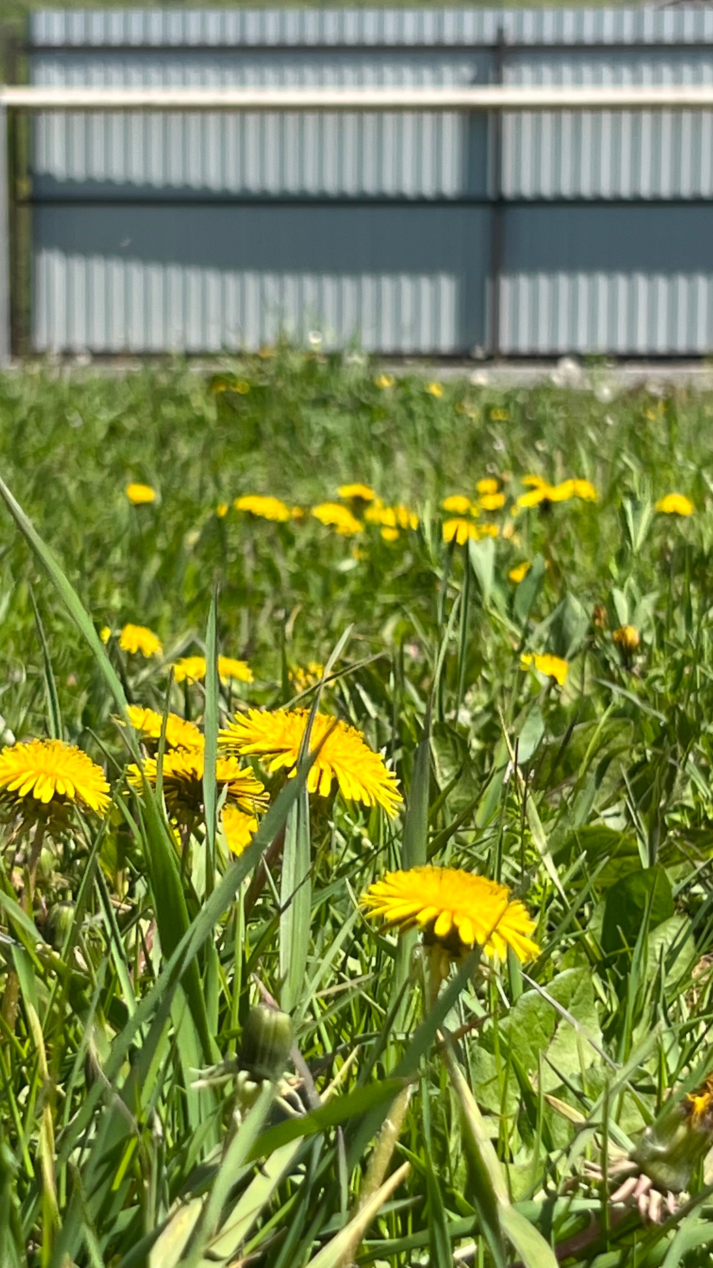 Фото Дом у реки