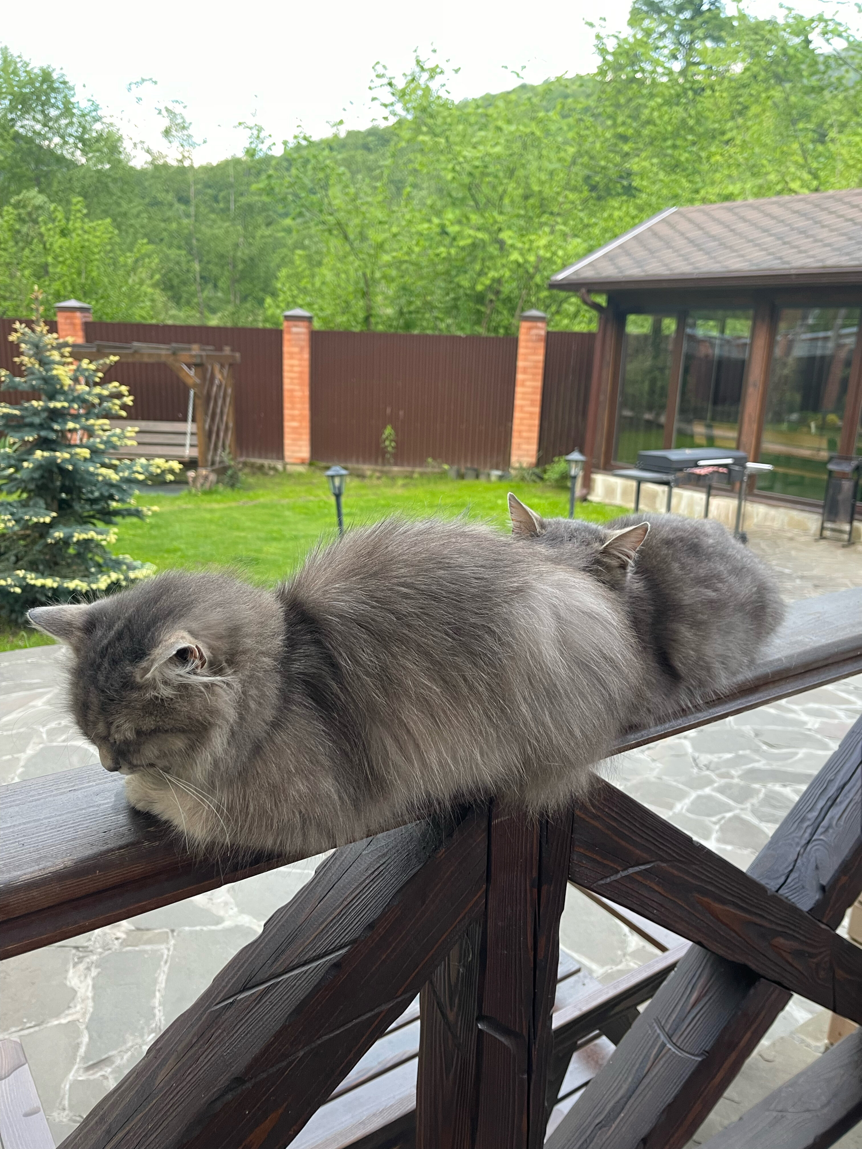 Фото Эдем