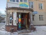 Июнь (Konstitutsiy Avenue, 47), grocery