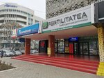 Notar Ludmila Gisca (strada Constantin Tănase, 6) ، كاتب العدل