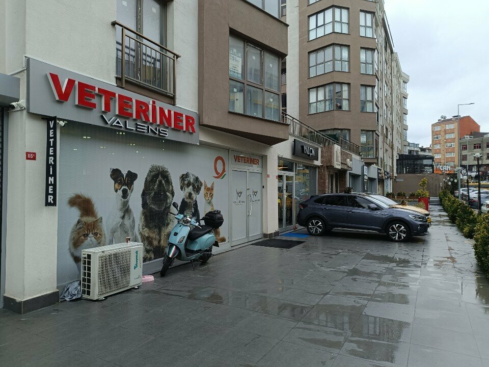 عيادة بيطرية Valens Veterinary Clinic ، اسطنبول، صورة