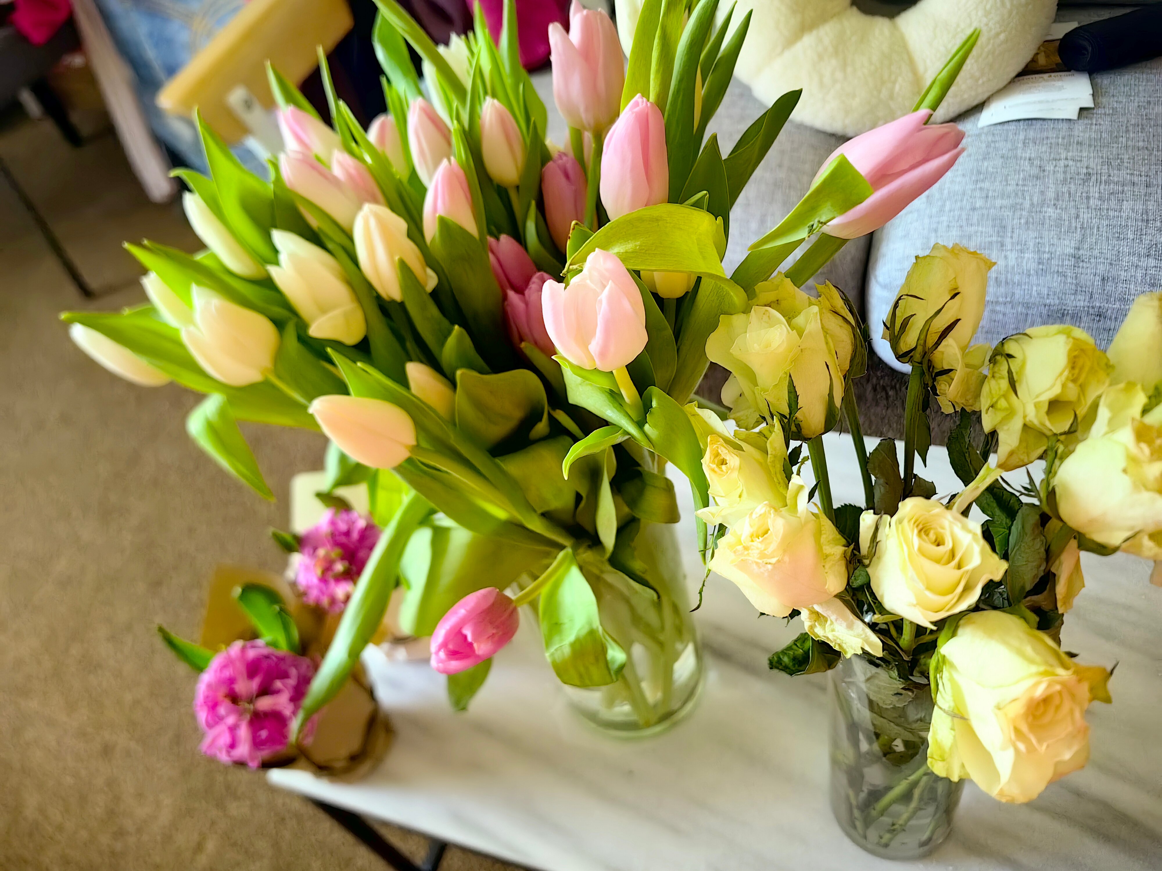 Фото Грегори