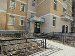 Avocado (Soyuznaya Street, 27), foreign language courses