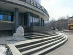 Baikal center of ecology and law (Karl Liebknecht street, 121), legal services