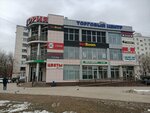 Bright Flo (Shosseynaya Street, 2к3) ، محل زهور