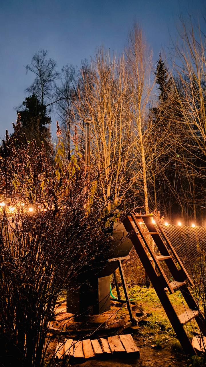 Фото Лисичкин дом