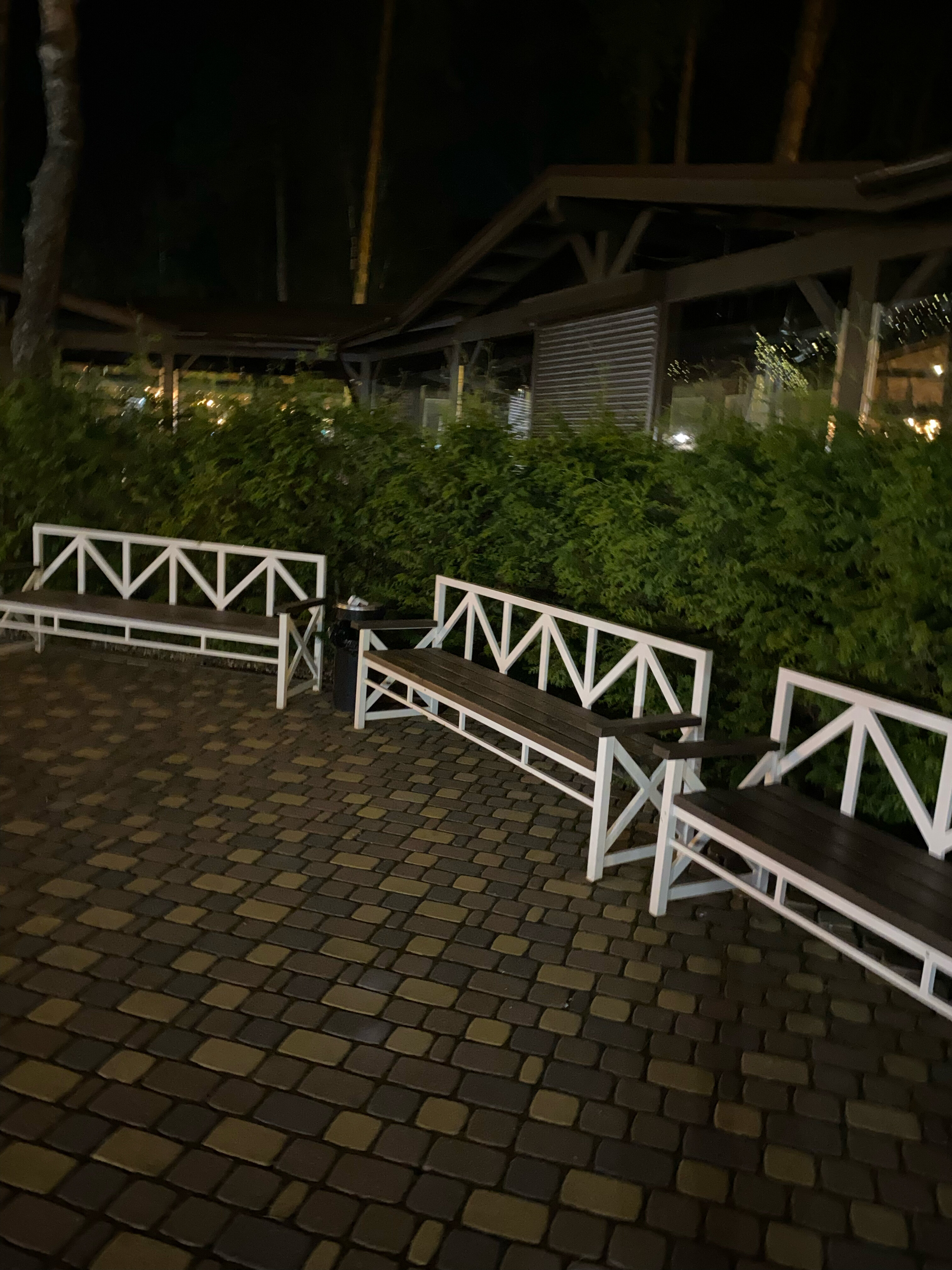 Фото Дубрава