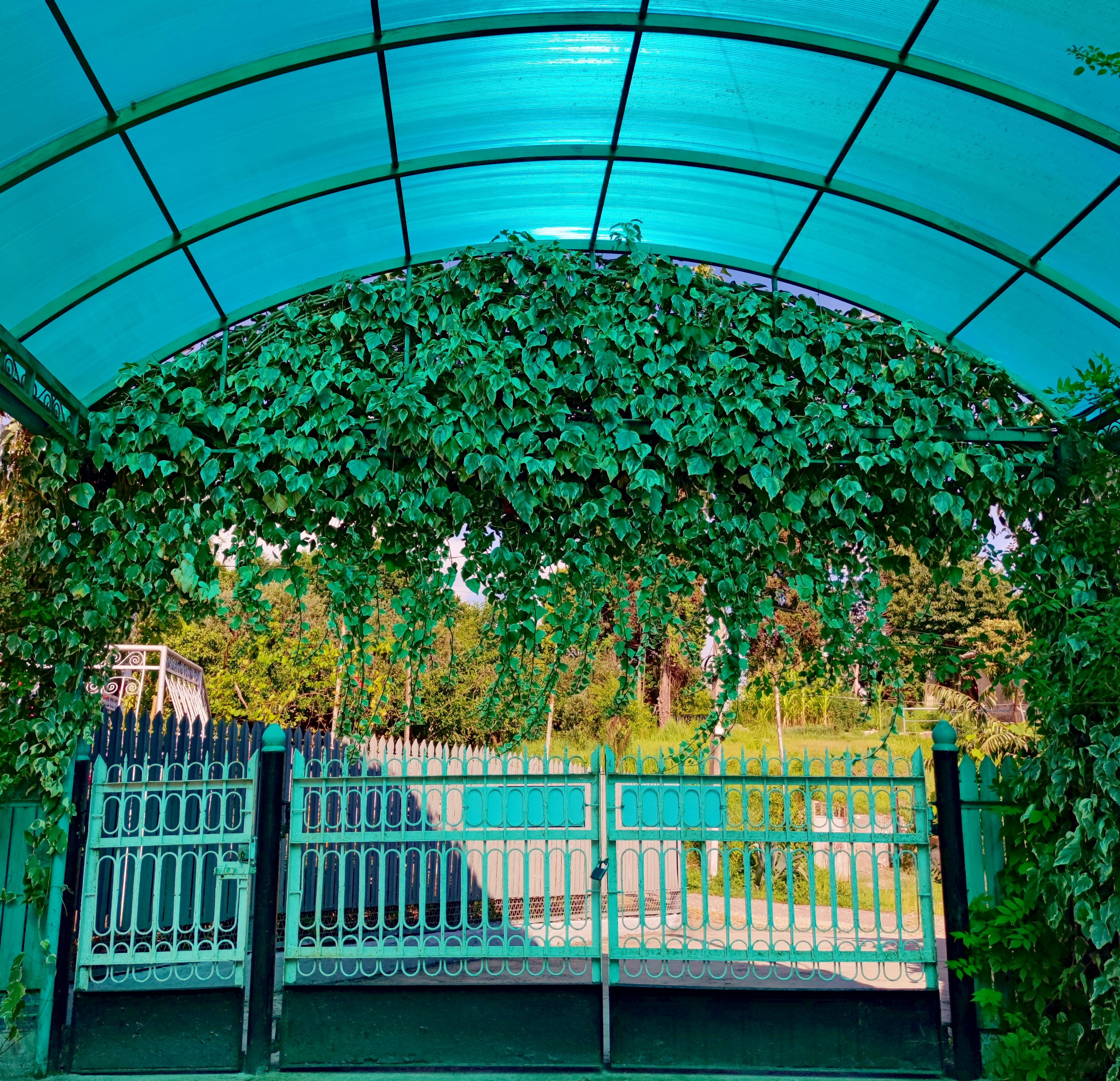 Фото Гостевой дом