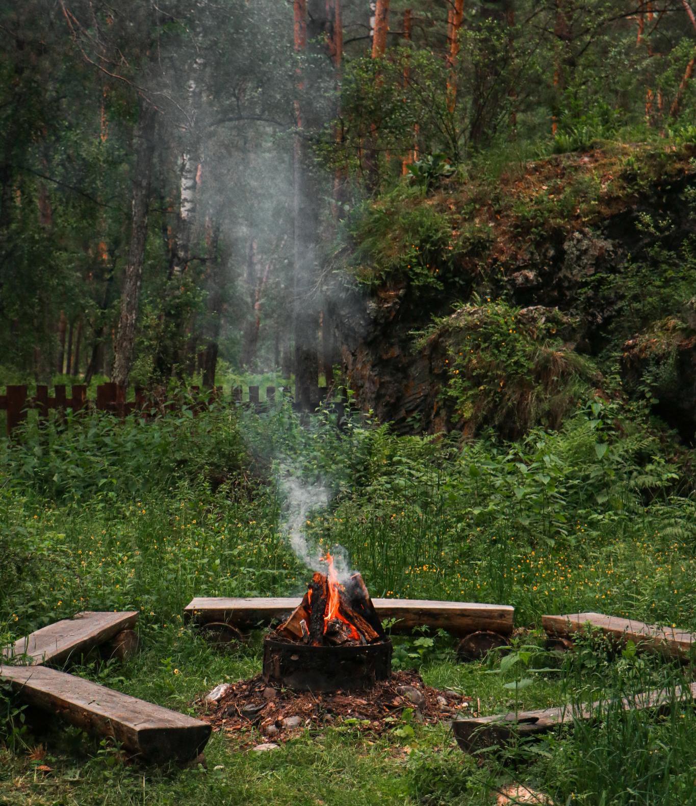 Фото Купольная база Royal Forest