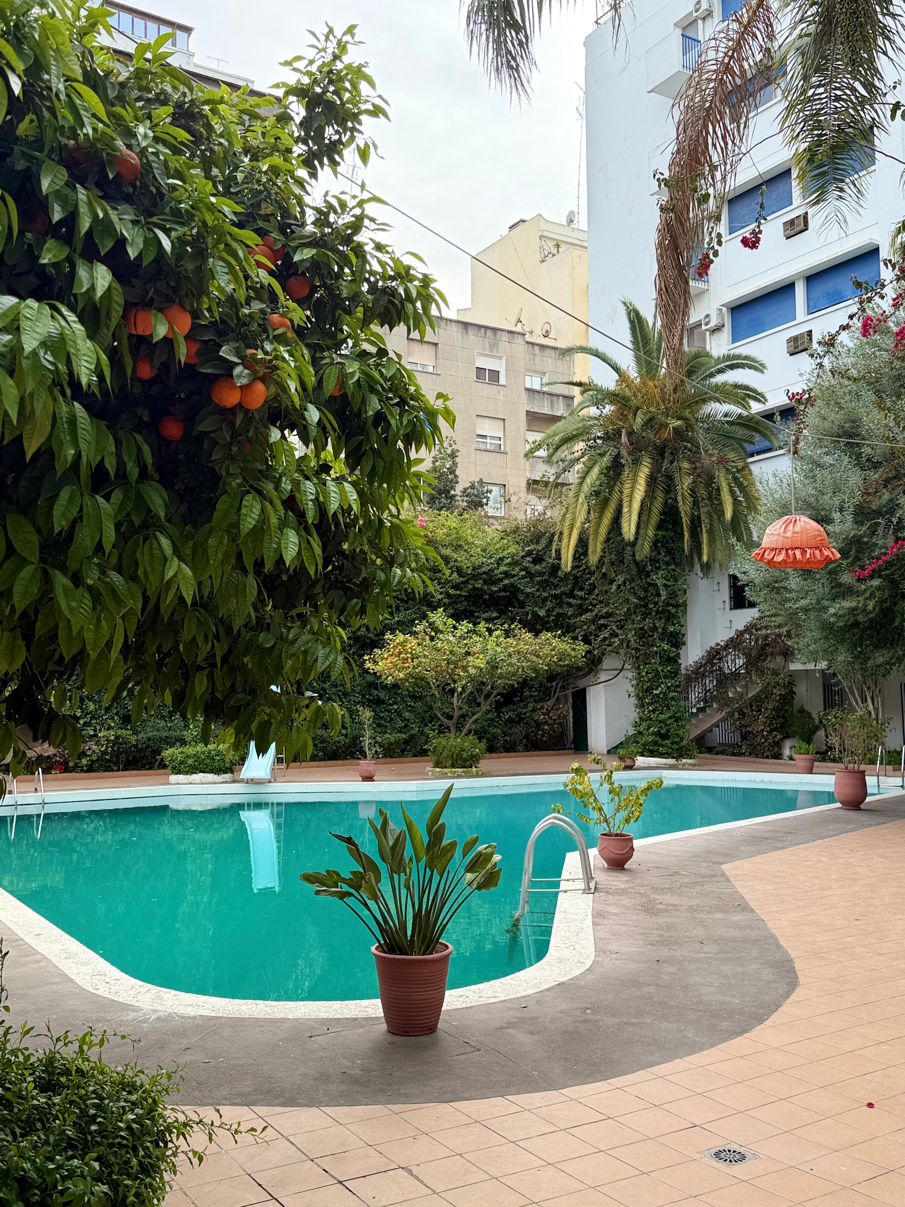 Фото Hotel Chellah