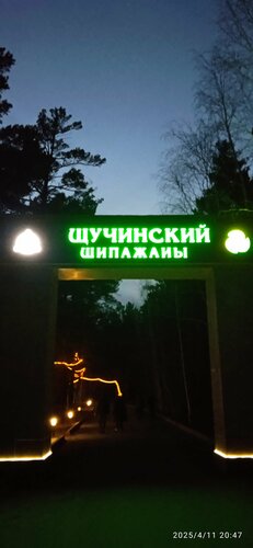 Ішіне жатқызып жатып, оны ренжітті