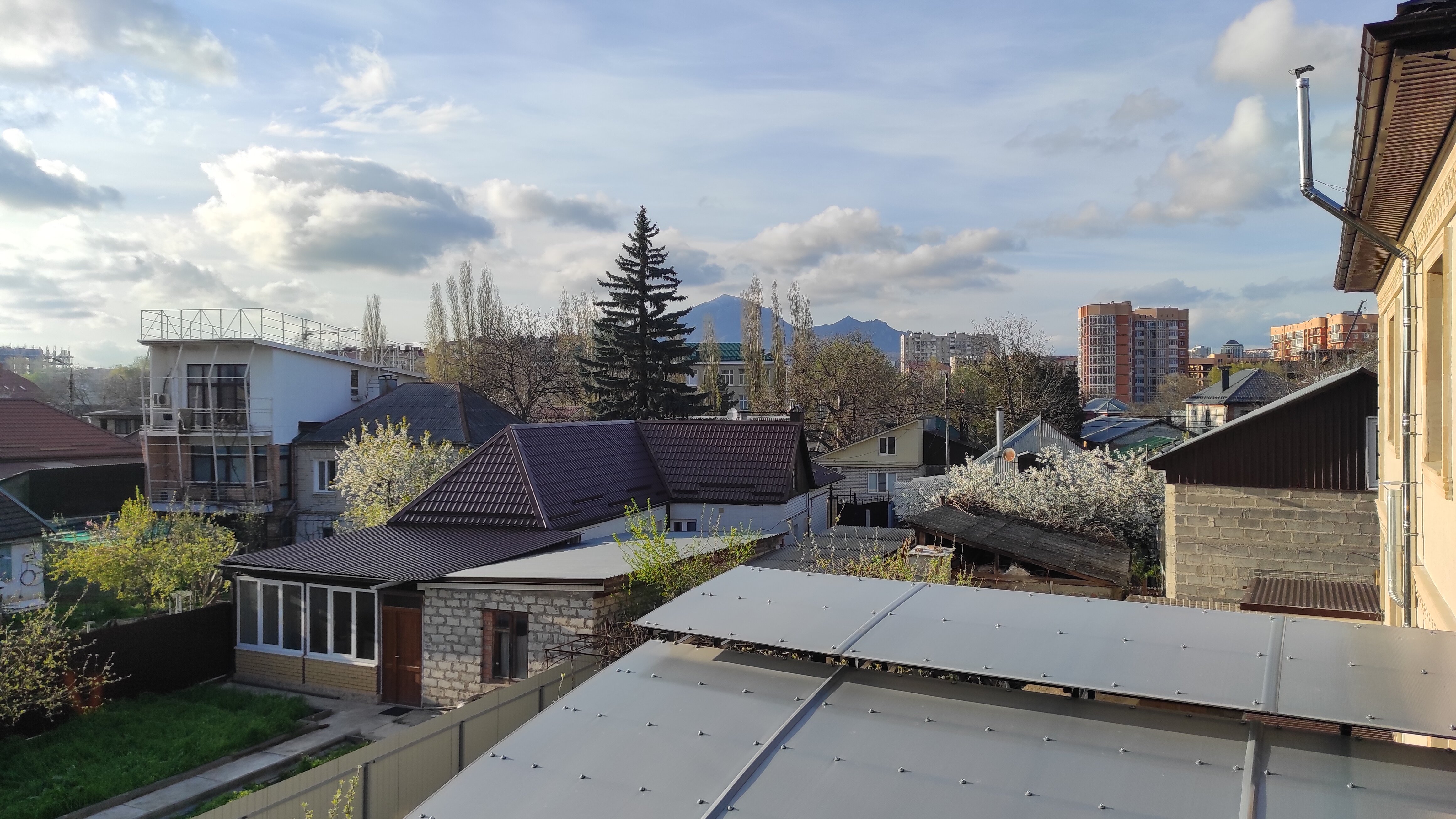 Фото Фортуна