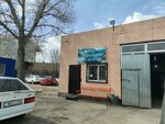 Car insurance (Kenes Nokin Avenue, 30), car insurance