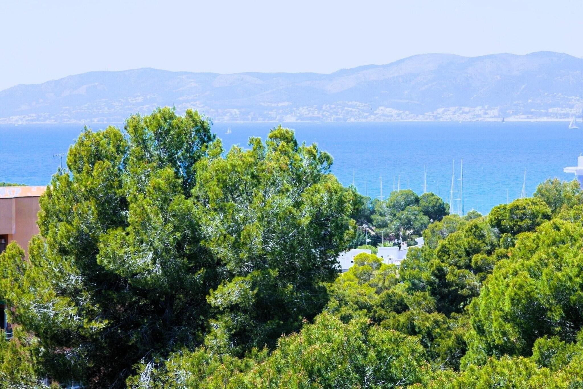 Фото Hotel Fenix