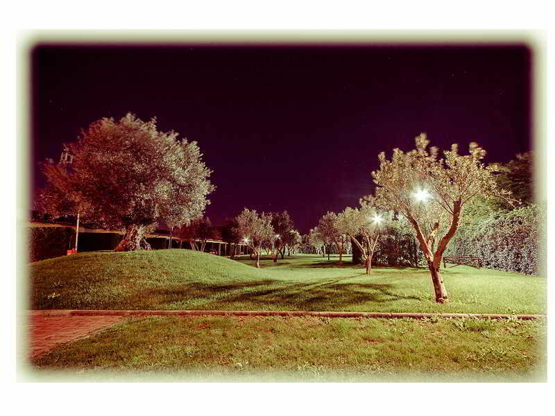 Фото All Ways Garden & Leisure Hotel