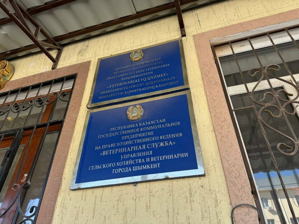 Veterinary clinic Veterinary Service, Chimkent, photo