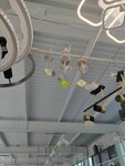 Обои люстры (Chapaeva Street, 51Ас2) ، محلات المصابيح