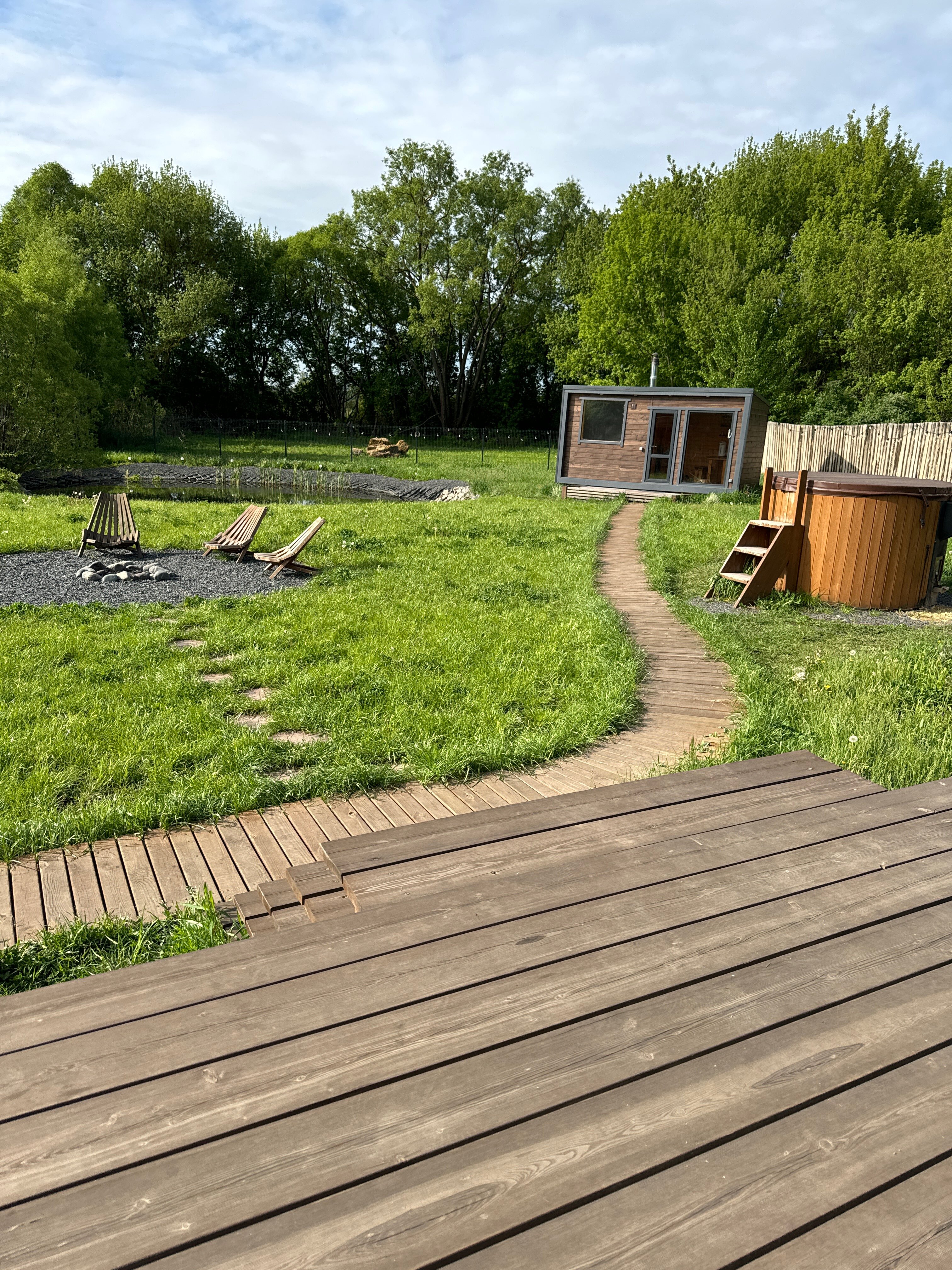 Фото Камыши