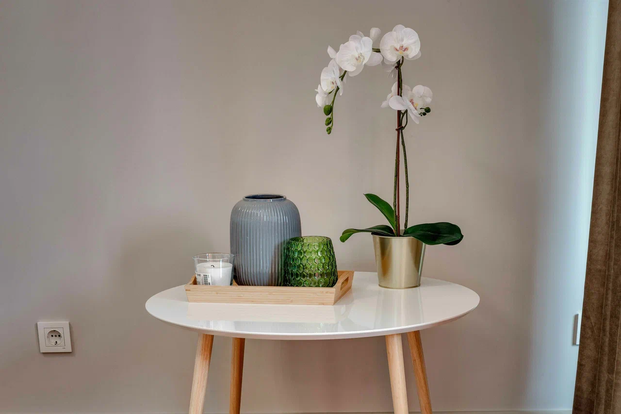 Фото Фамилия Делюкс