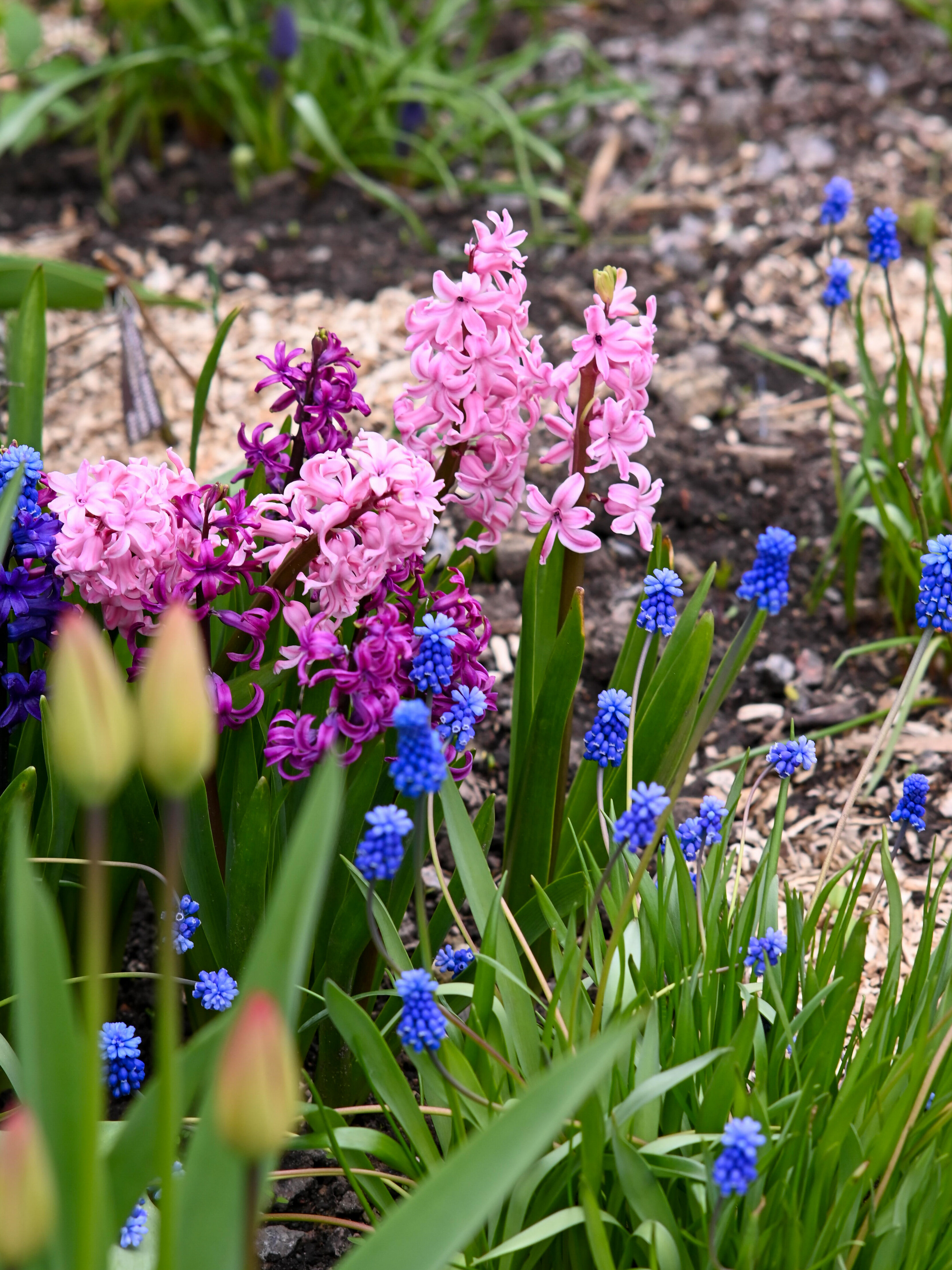 Фото Отель-коттедж Ф&Ф