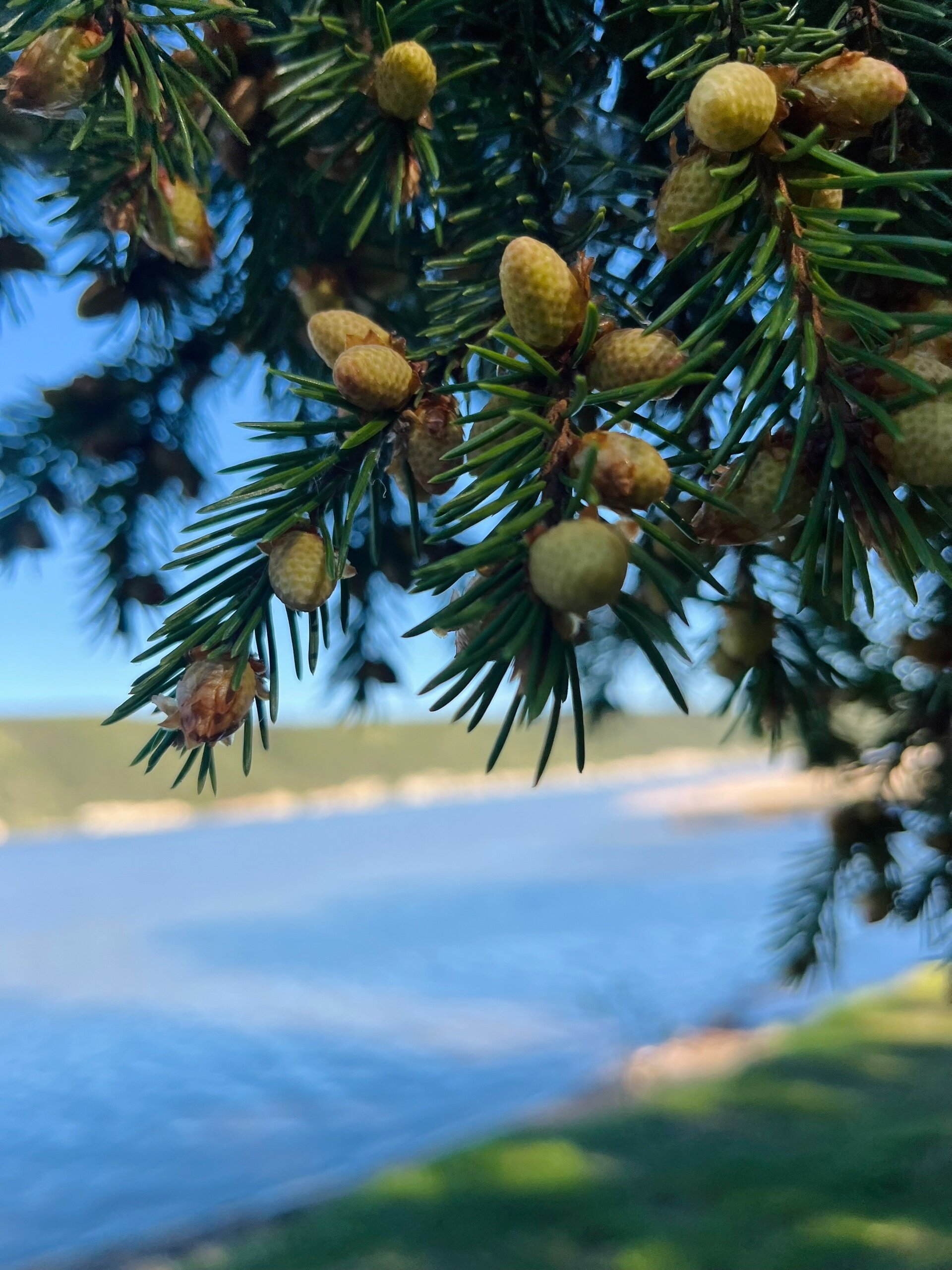 Фото Русская усадьба