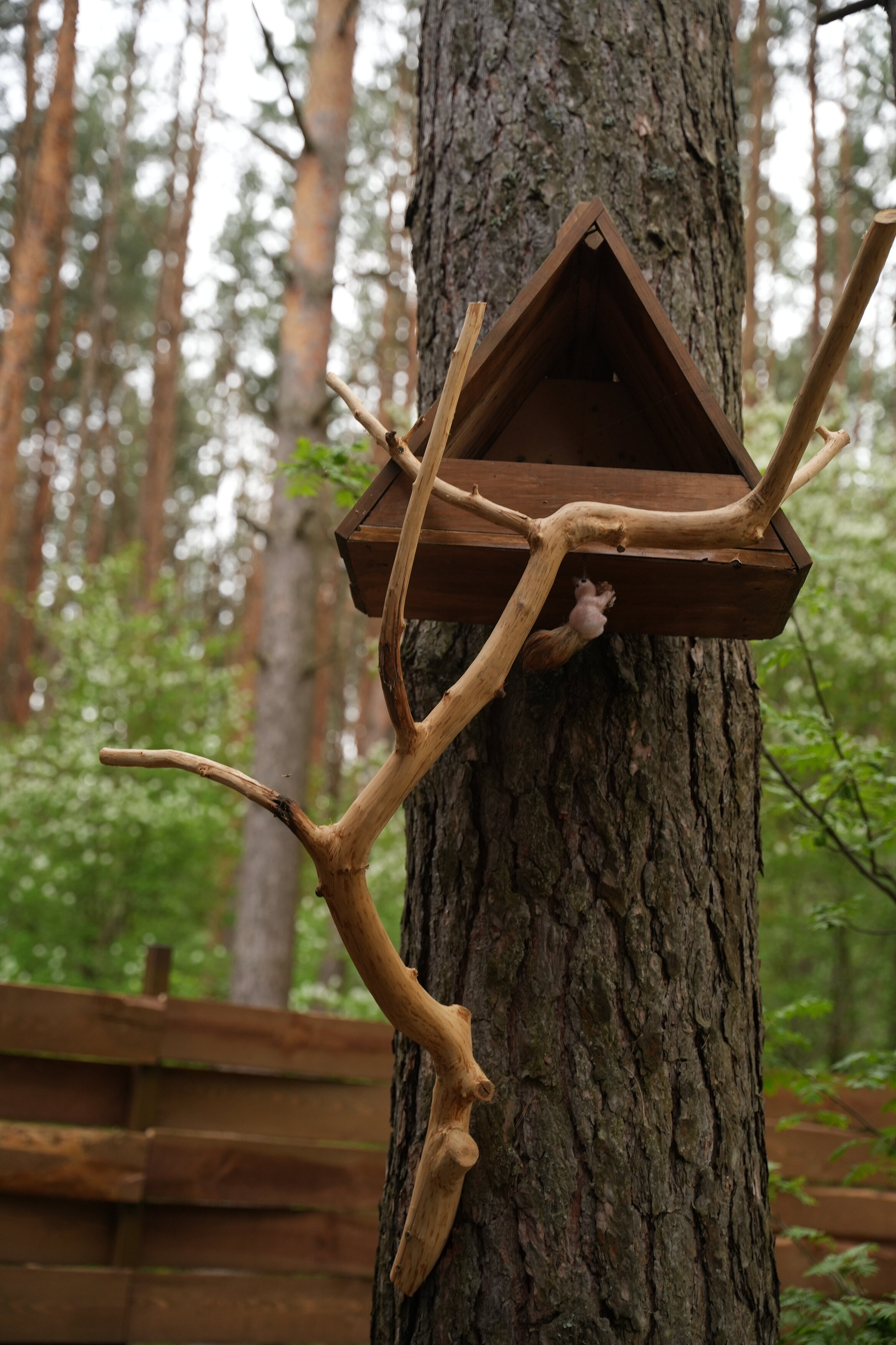 Фото Сова Эко дом с чаном