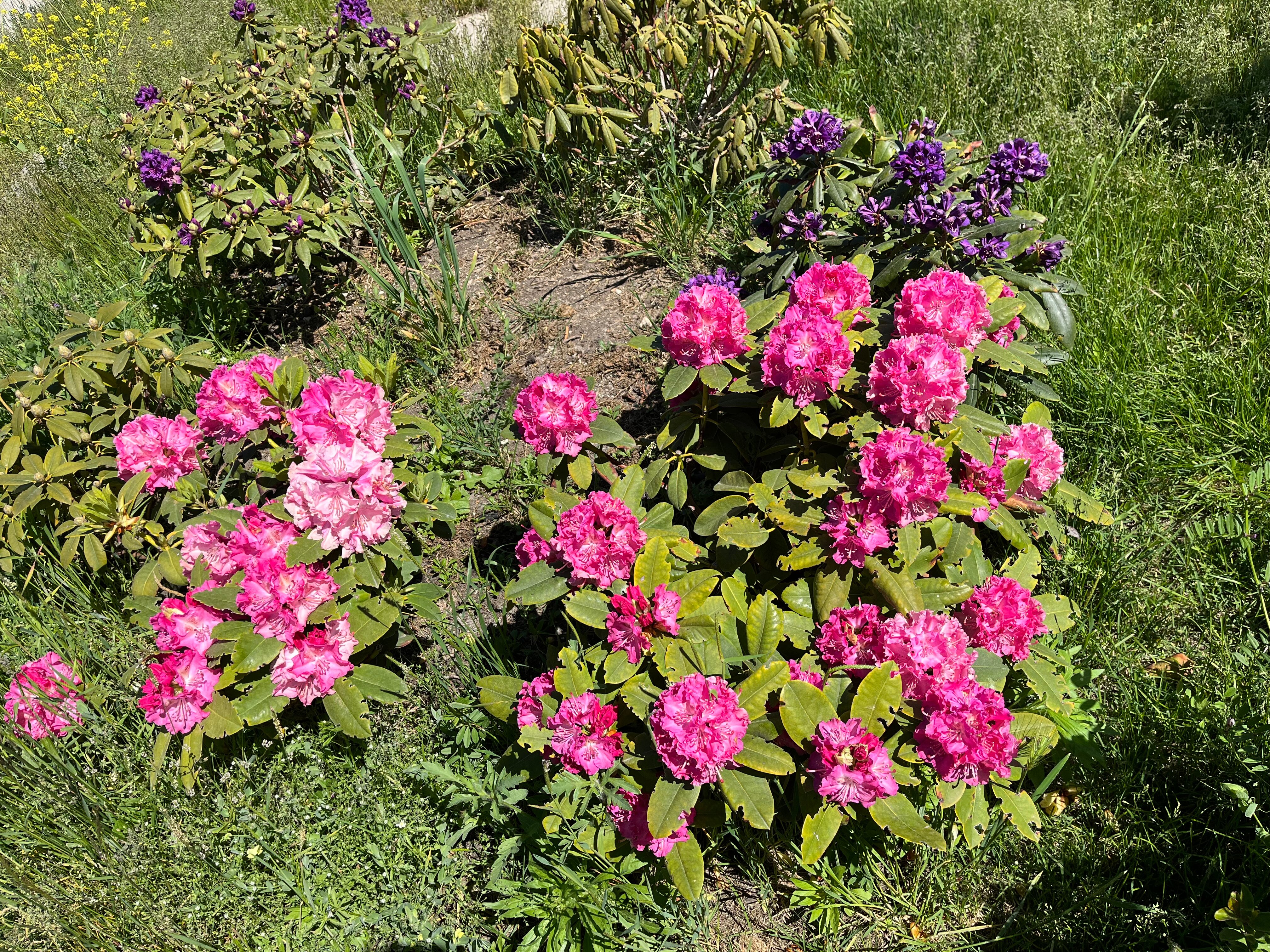 Фото Драйв Парк