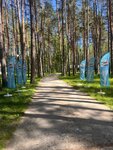 Adventure day (Penza, Volodarskogo Street, 27), organization of children events