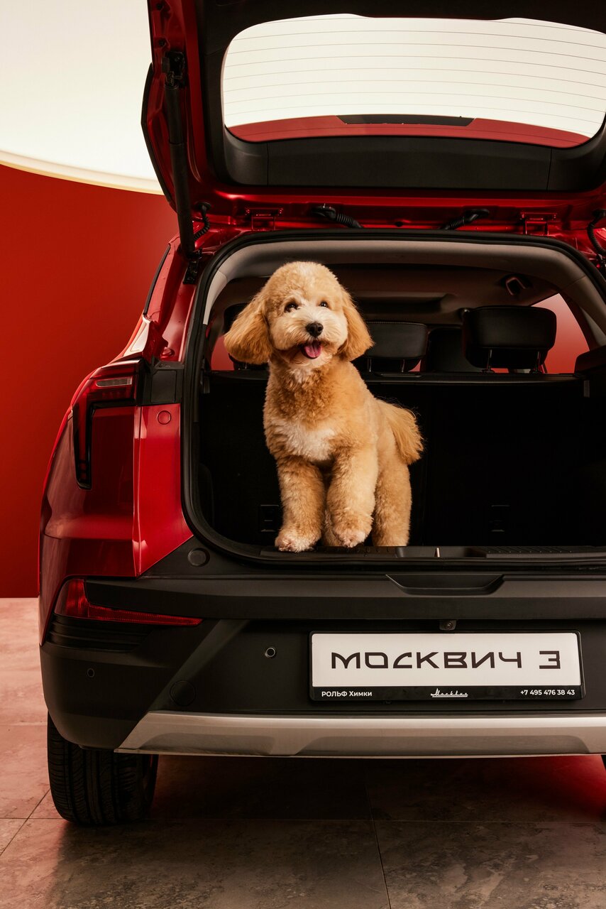 photo Москвич Рольф Центр