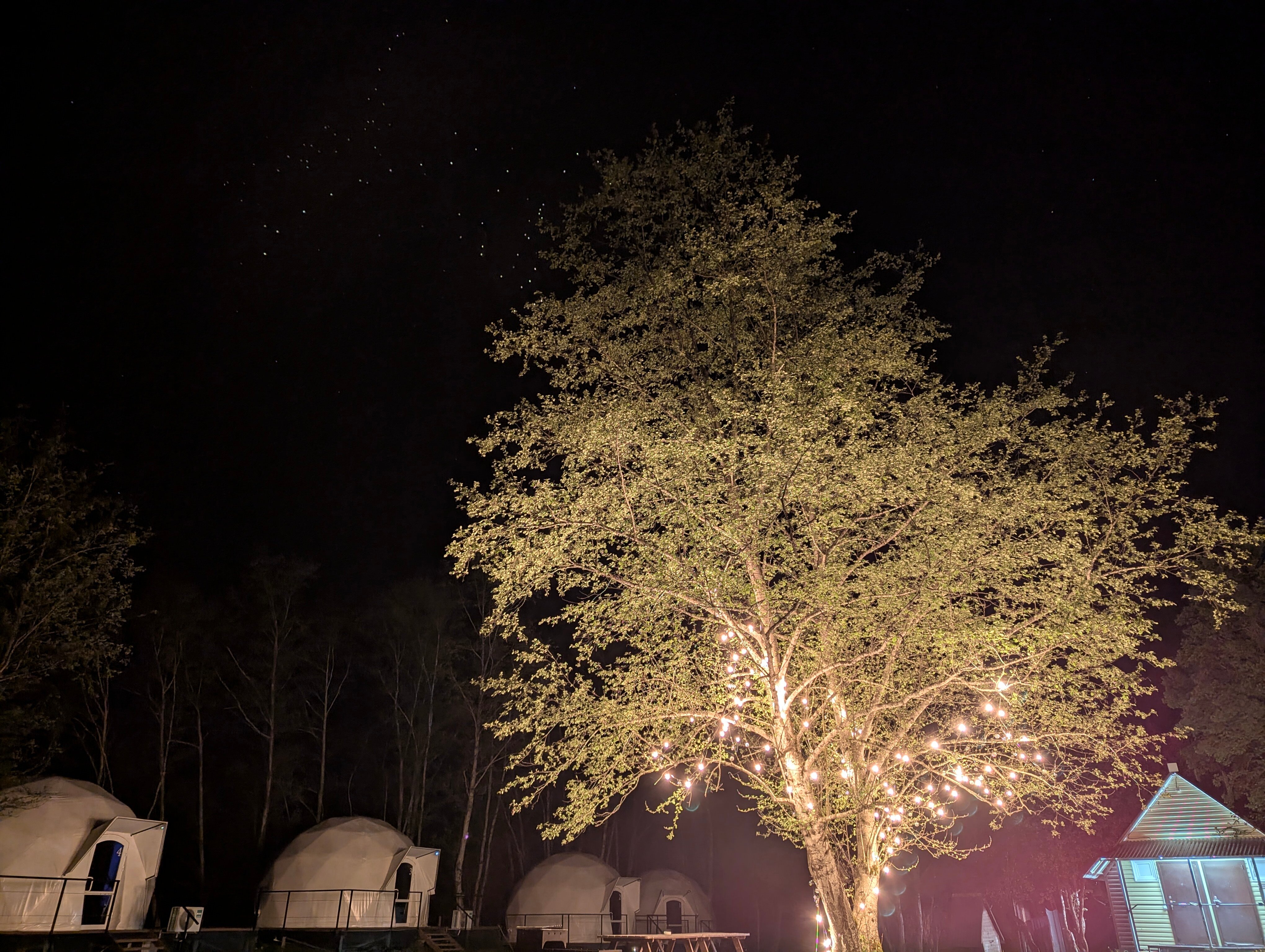 Фото Шамбала