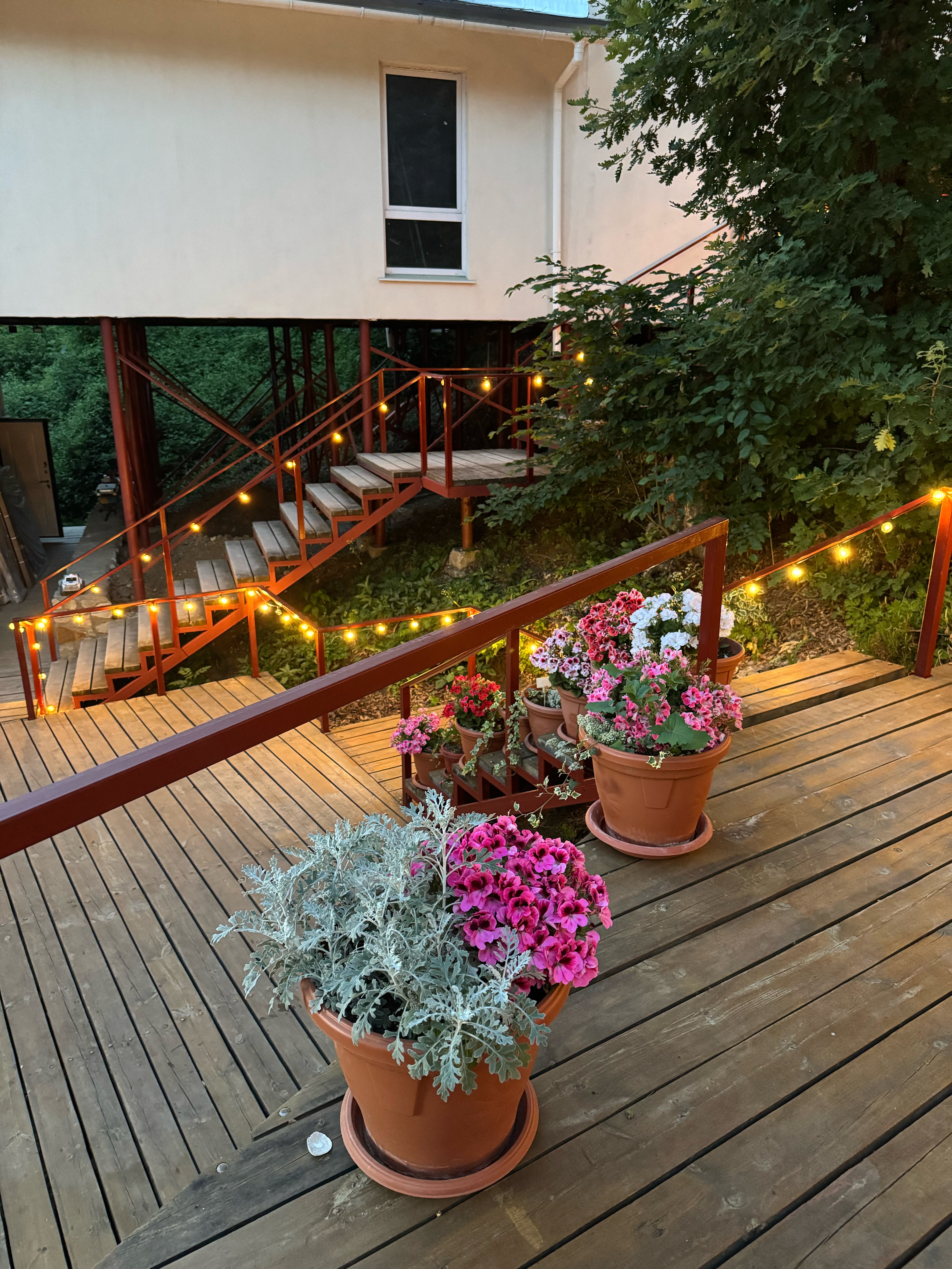 Фото Драйв Парк