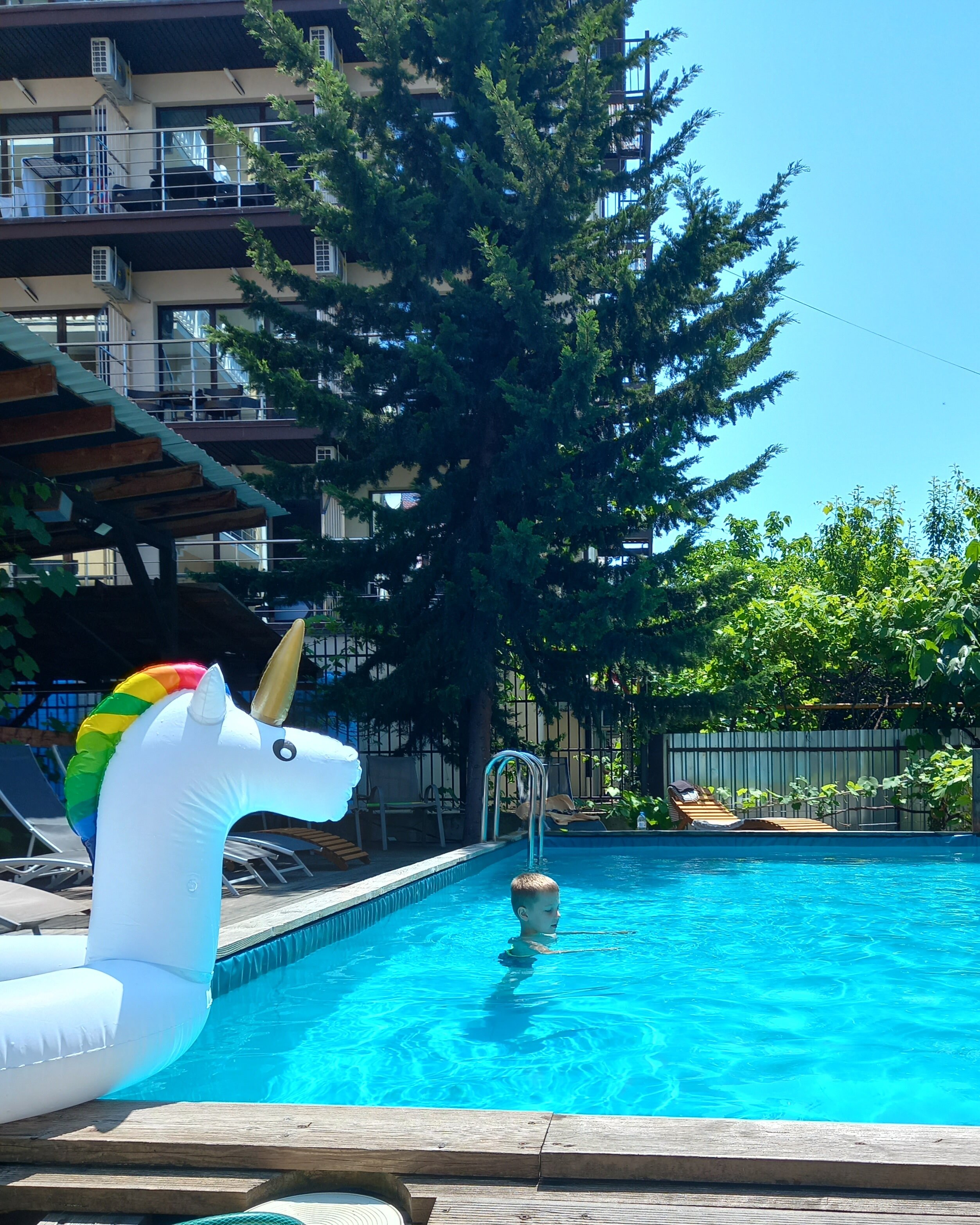 Фото Остров Сочи