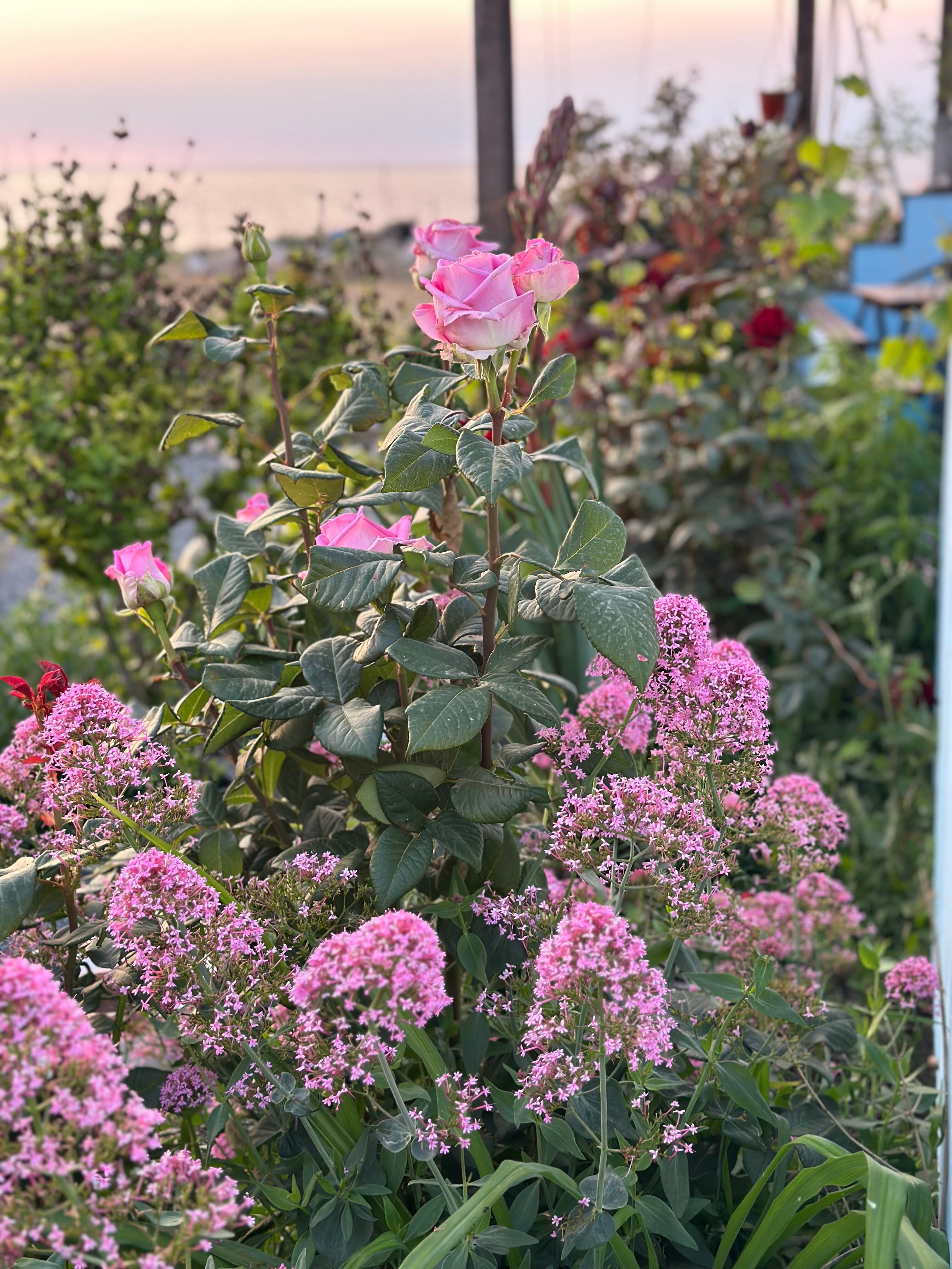 Фото Casa del Mar