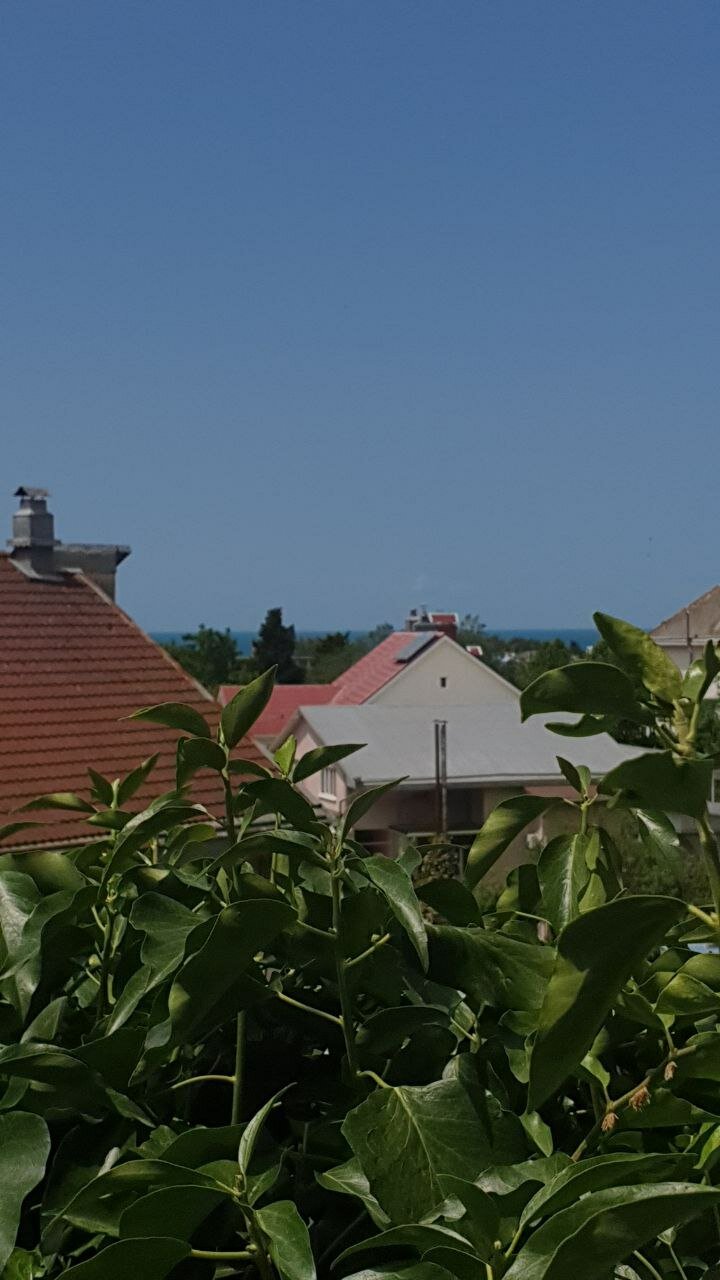 Фото У Мамы