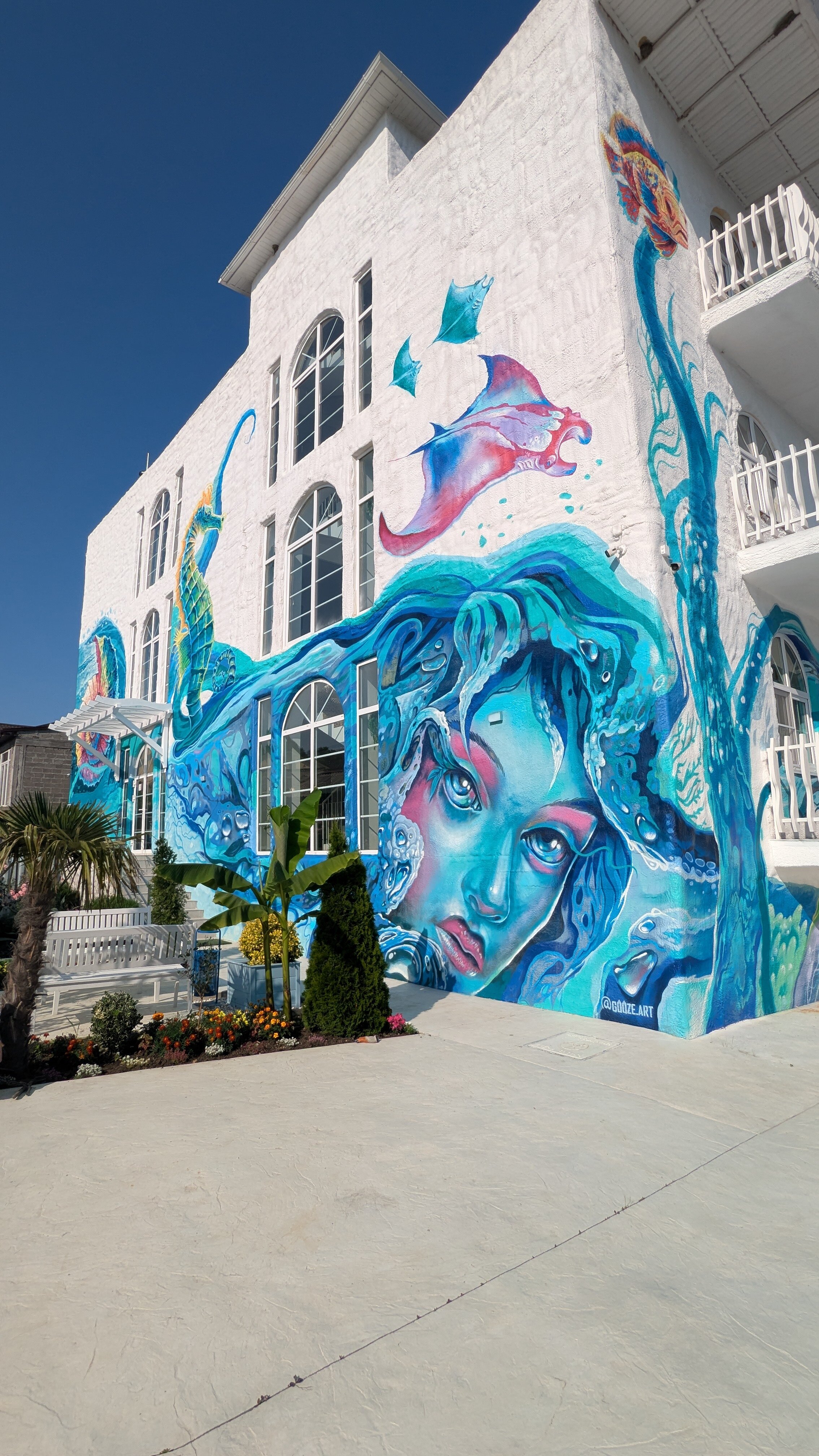 Фото Алиса, привет!