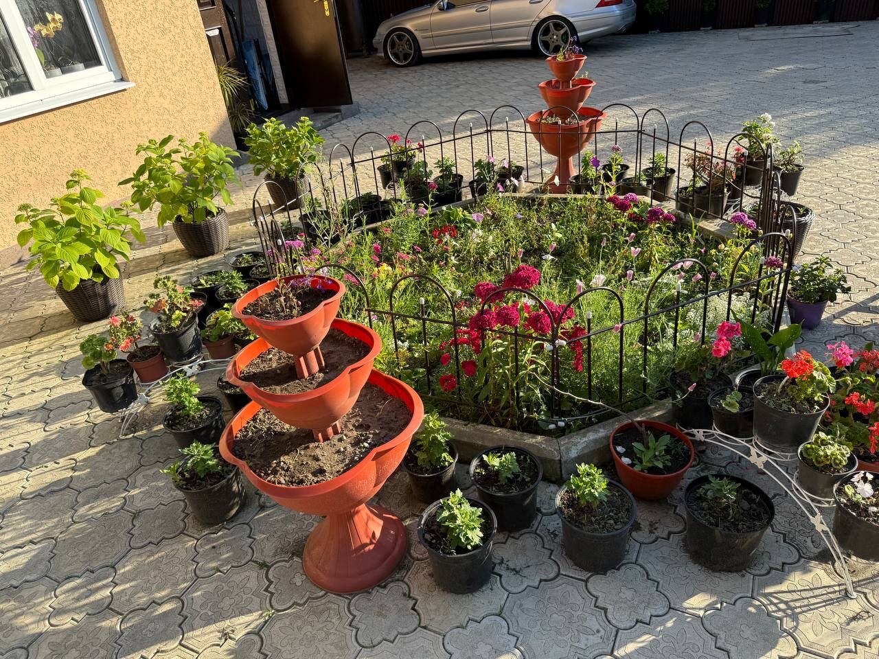 Фото Орхидея