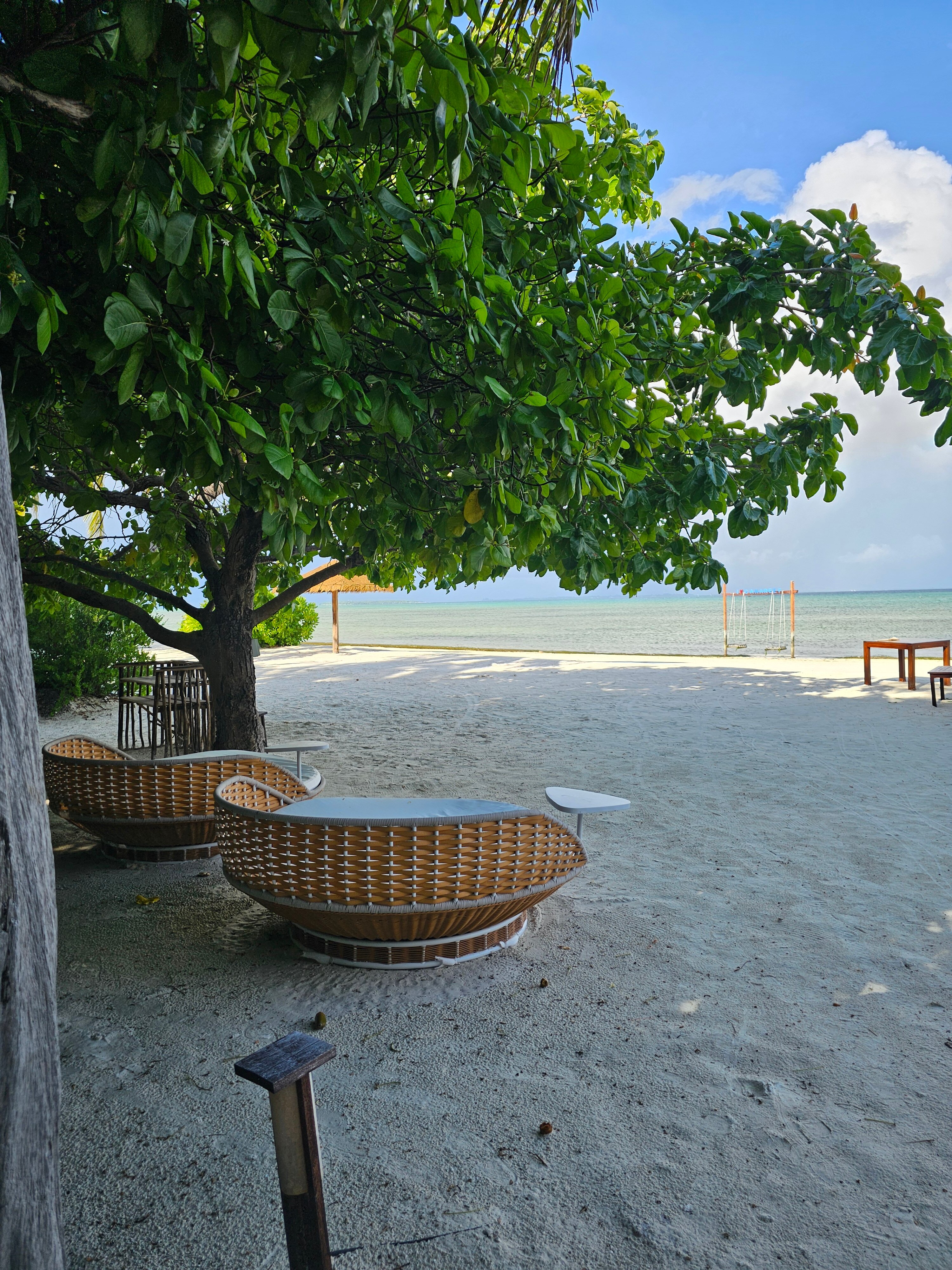 Фото Canareef Resort Maldives