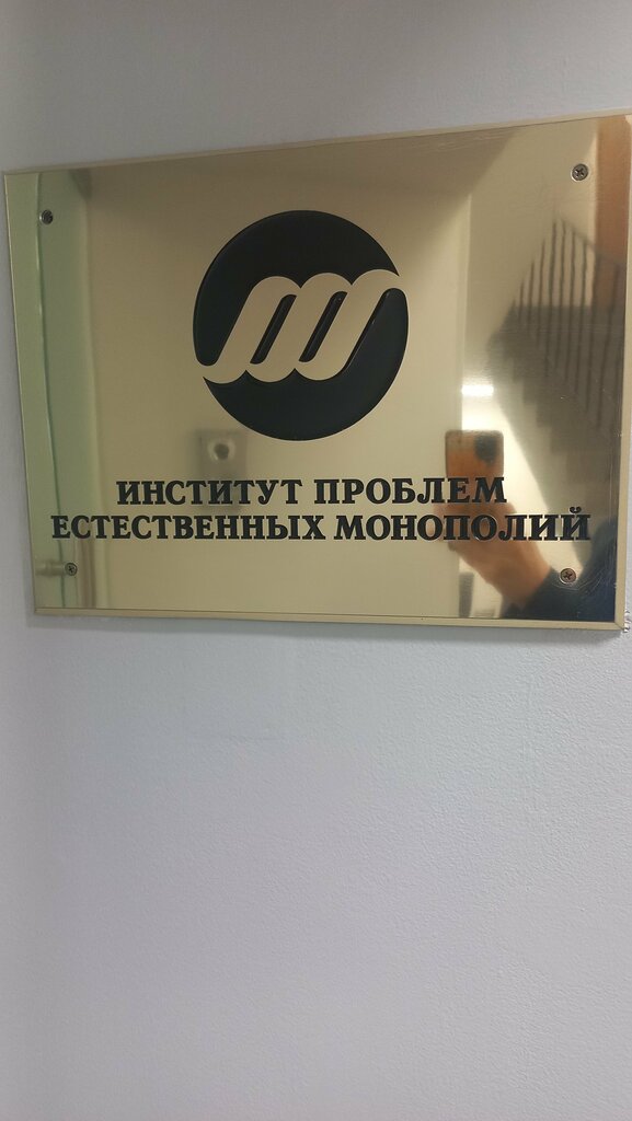 Business consulting Institute of Natural Monopolies Research, Moscow, photo