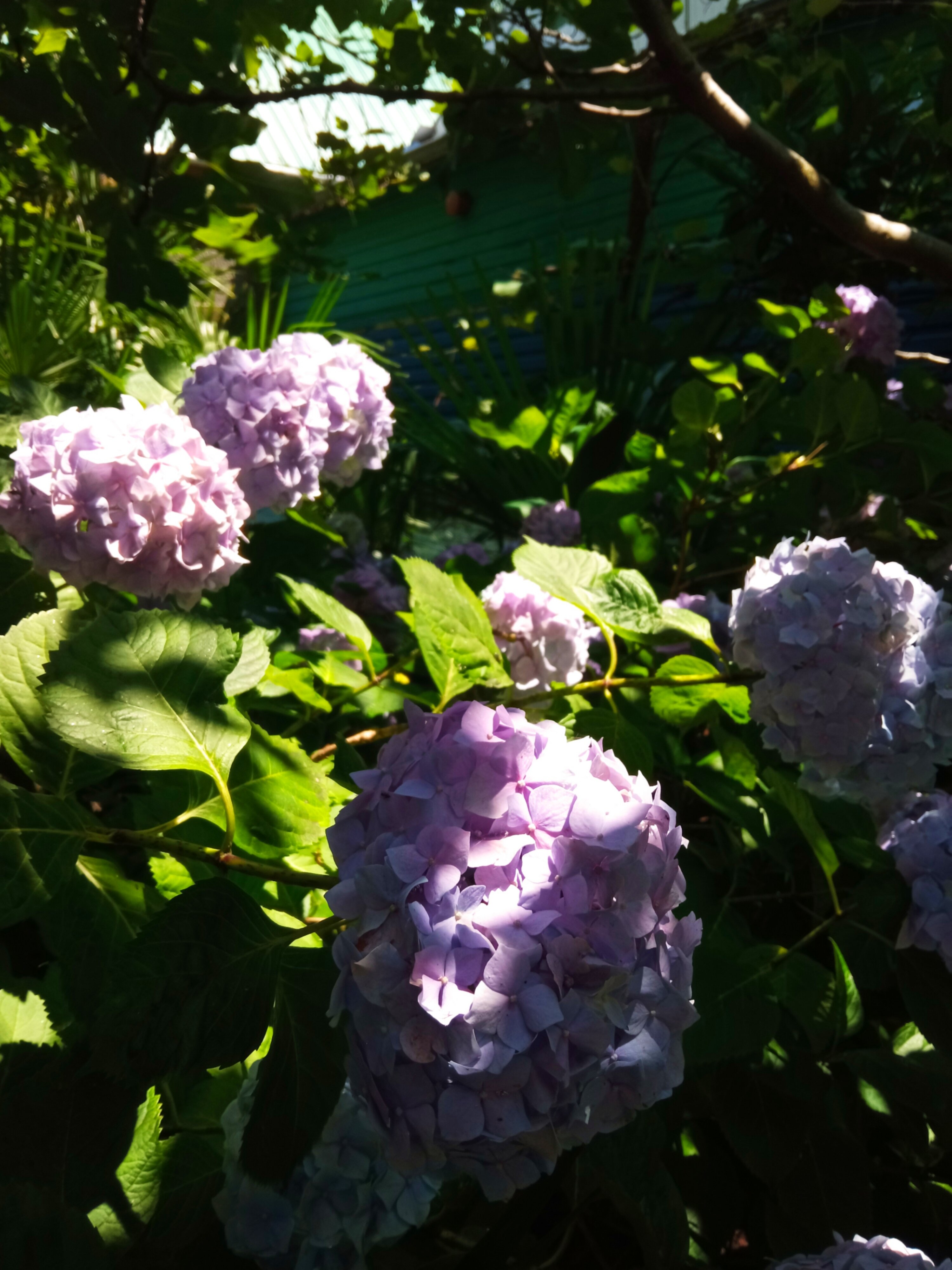 Фото Морской Штиль