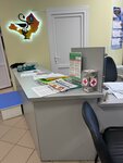 Bolsheanisimskaya bolnitsa (derevnya Bolshoye Anisimovo, ulitsa 60 let Oktyabrya, 11), hospital