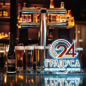 24Gradusa (ulitsa Nikolaya Baumana, 6А), bar, pub