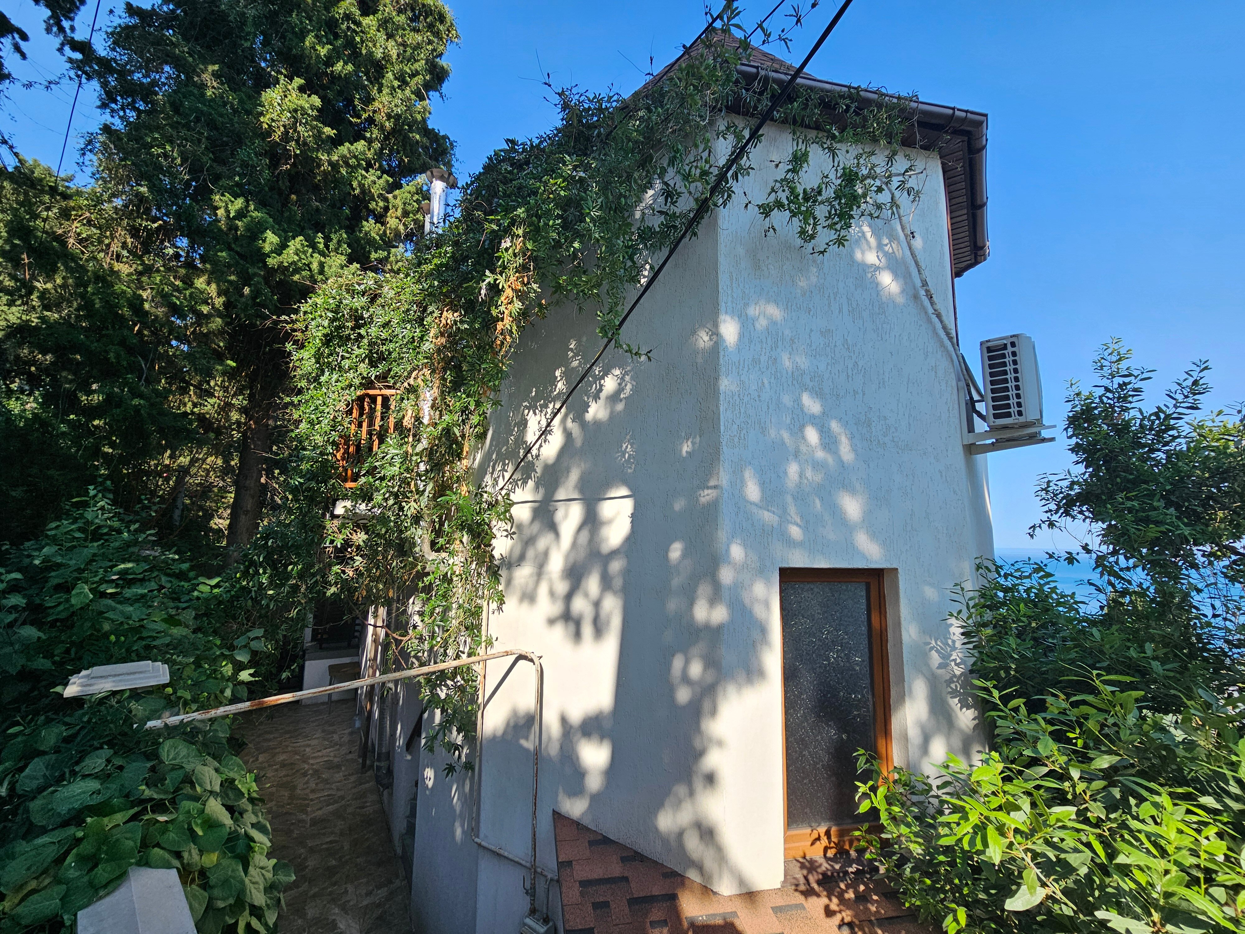 Фото Кипарис